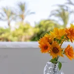 Bright Pool Walk To - Playa Real - Pass The Keys