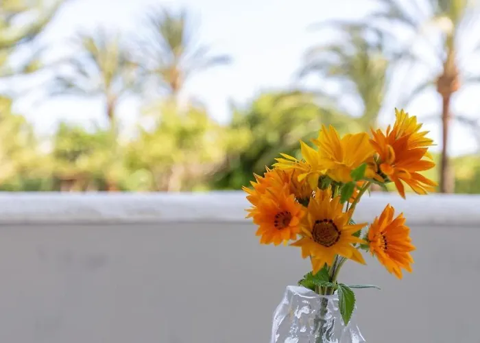 Bright Pool Walk To - Playa Real - Pass The Keys